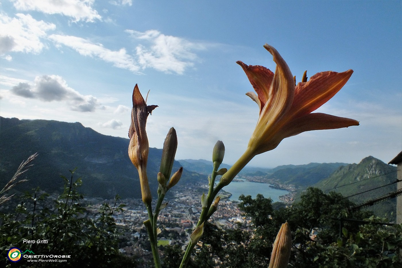 24 Giglio con vista su Lecco.JPG